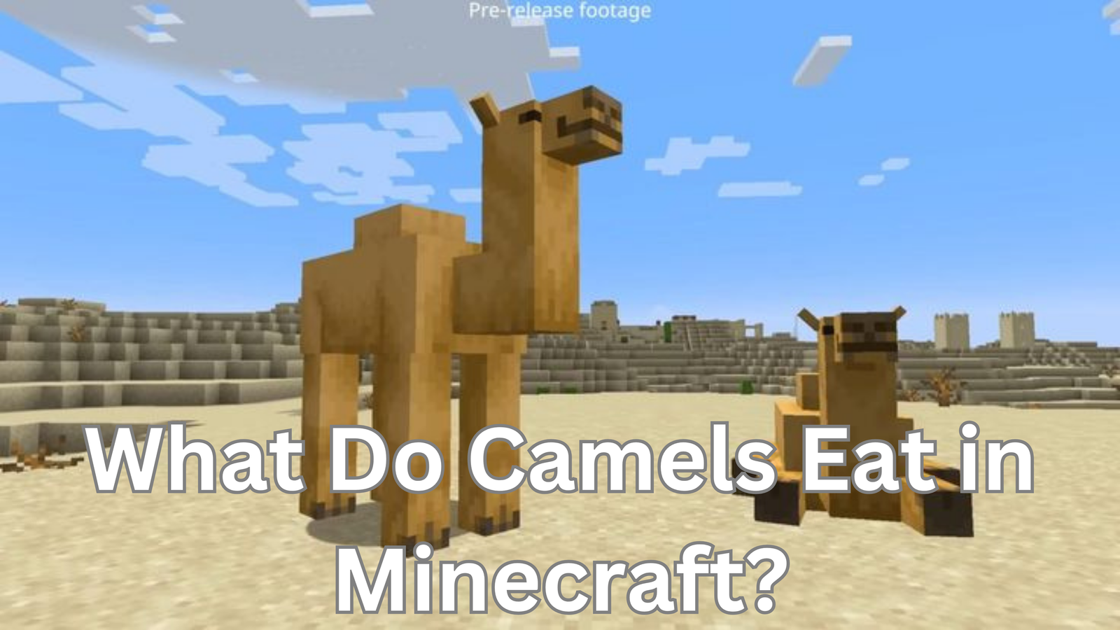 What Do Camels Eat in Minecraft?