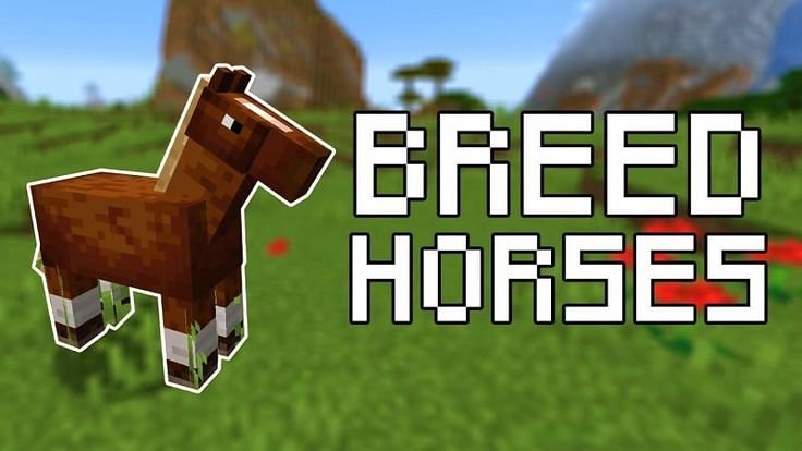 How to Breed a Horses in Minecraft