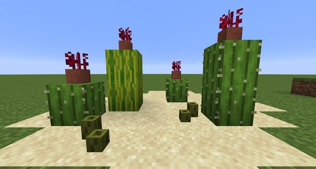 What do camels eat in Minecraft?